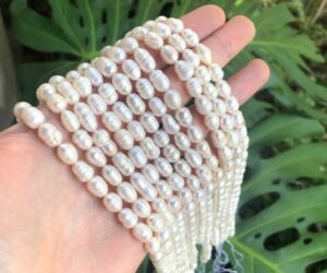 white ringed rice freshwater pearls