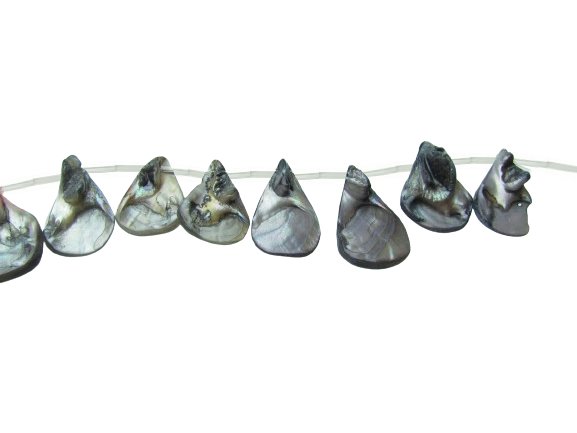 grey shell drop beads mother of pearl