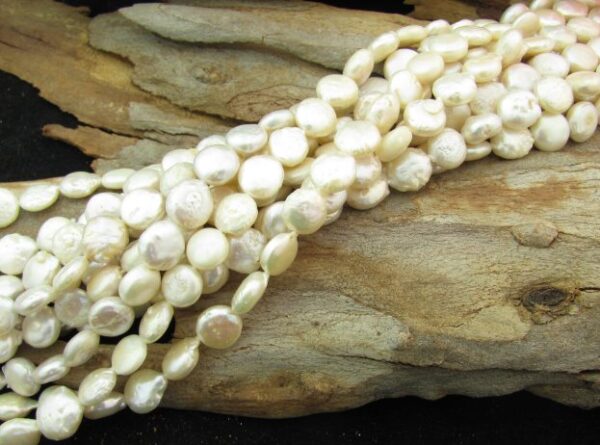 white small coin pearls