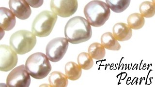 cultured freshwater pearls