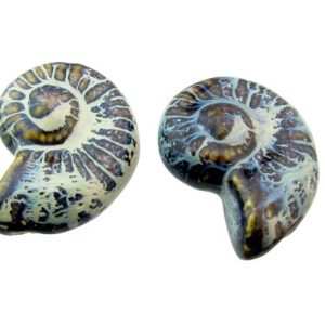 ceramic shell beads