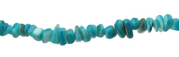 blue shell chip beads