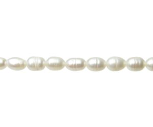 white rice freshwater pearls australia