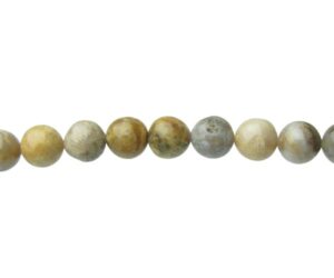 fossil coral jasper gemstone round beads brisbane 10mm