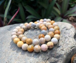 coral fossil jasper gemstone round beads 8mm