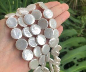 15mm white coin shell pearls