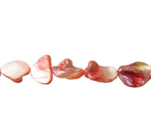 pink red shell nugget beads australia