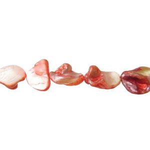 pink red shell nugget beads australia