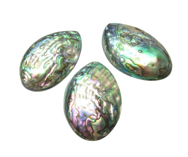 abalone shell pendant