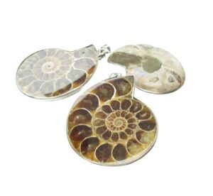 ammonite fossil gemstone pendant