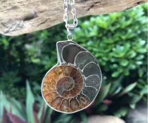 ammonite fossil gemstone pendant