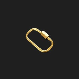 tarnishresistant18kstainlesssteel25mmcarabiner3 18k gold plated carabiner for necklaces